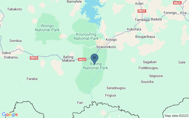 Kaart met locatie Bafing National Park